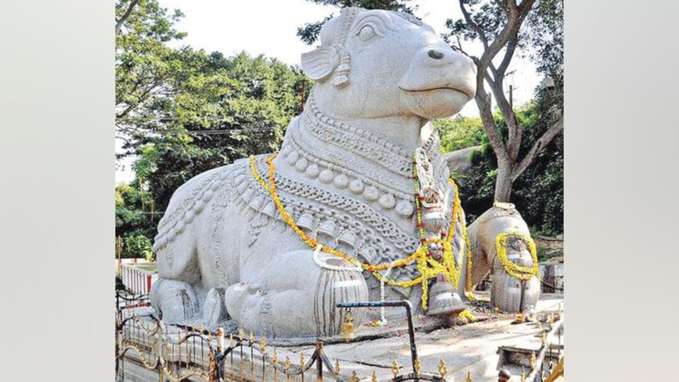Chemicals, water jets affect Nandi Statue in the long run, says expert