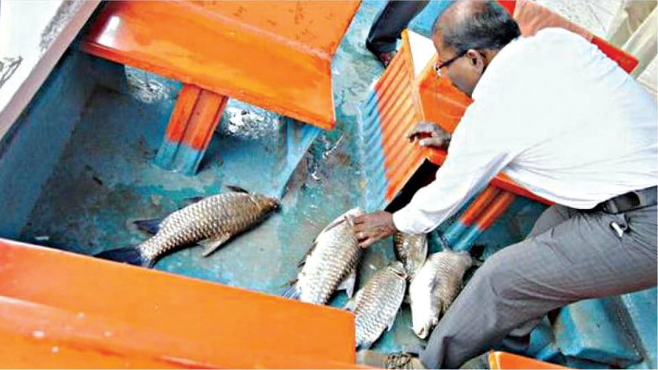 Fish deaths in KRS Boating Pond: KRS Police book three cases
