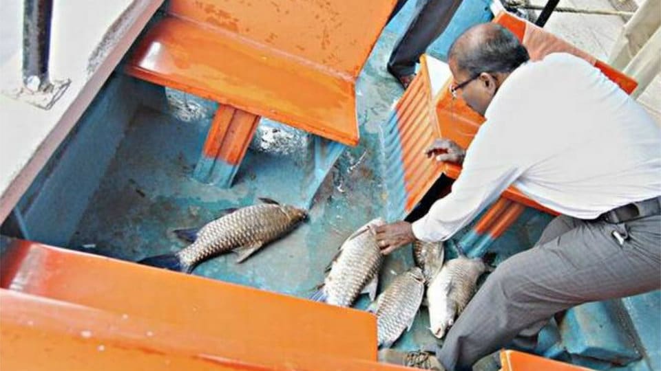 Hundreds of fish found dead at KRS boating pond