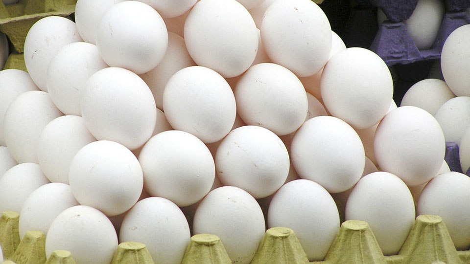 Egg prices soar in Mysuru