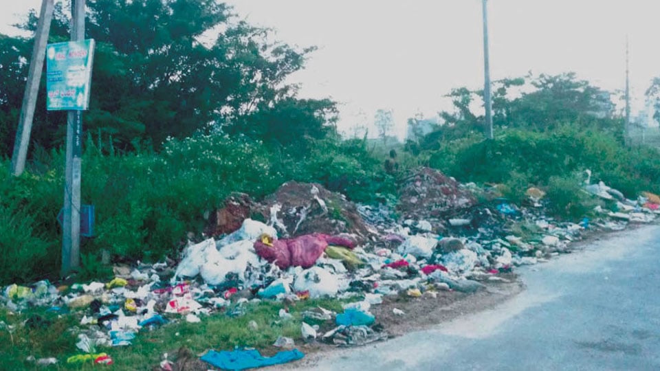 Clear this garbage dump near VTU