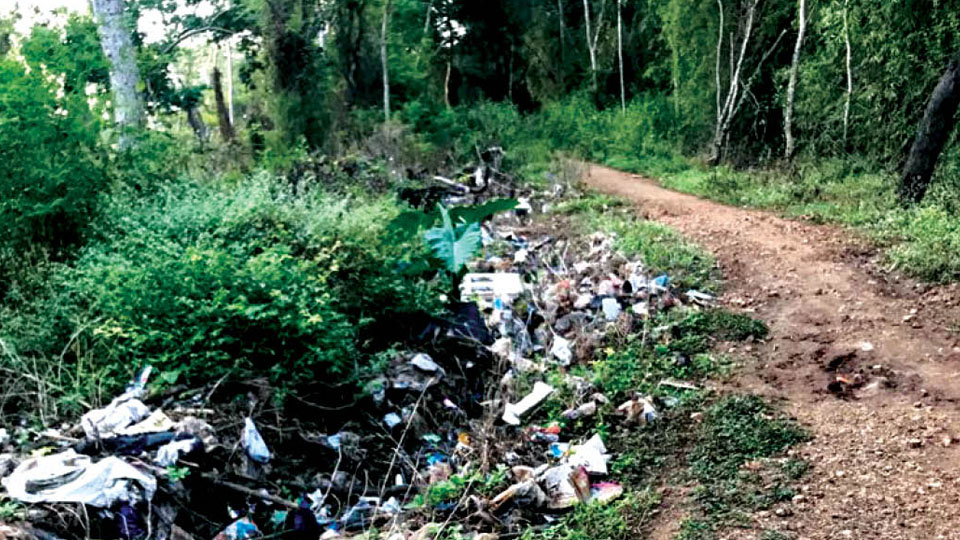 Clear this stinking garbage at Lingambudhi Lake