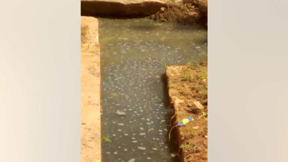 Plea to clear clogged drain in Lourd Nagar