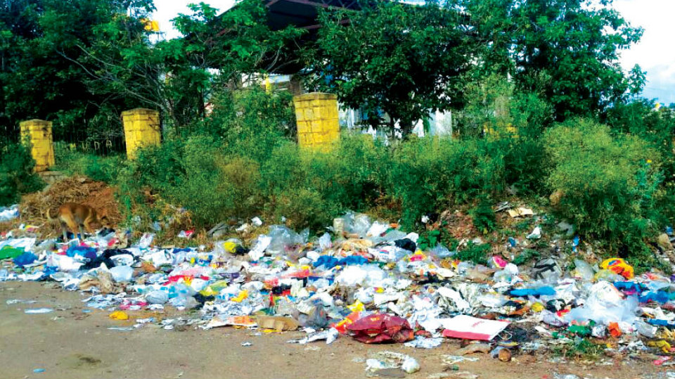 Garbage dump, a problem in Kanakadasanagar