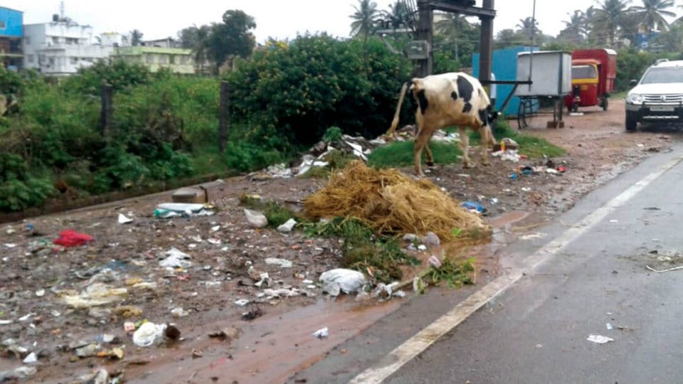 Garbage, an eyesore on Dr. Rajkumar Road