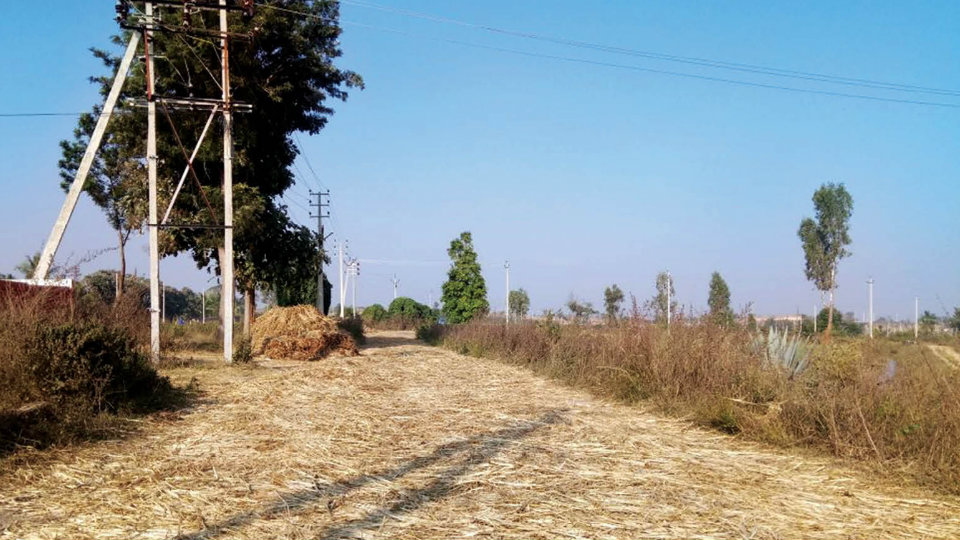 Public roads used as paddy, ragi  threshing ground causing accidents