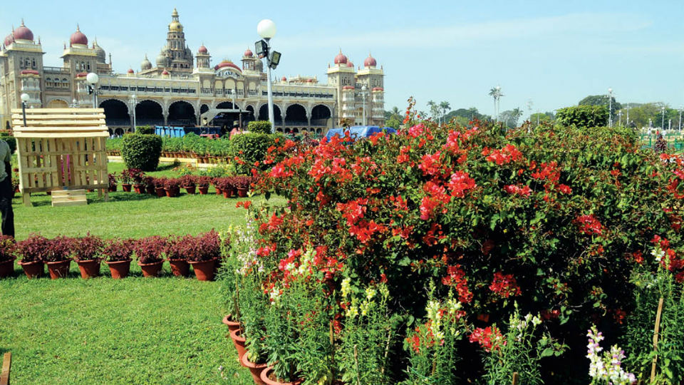 Flower Show at Mysore Palace from Dec.23 to Jan.1