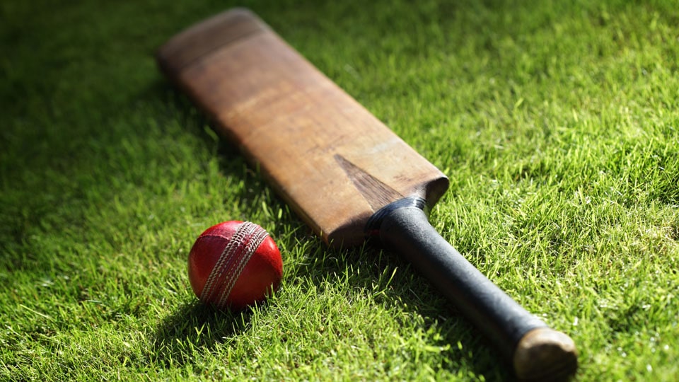 Cricket: Yogesh shines