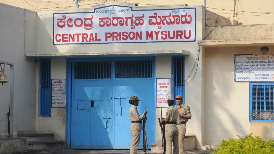 Raids in Mysuru Central Jail: Ganja, cell phones recovered