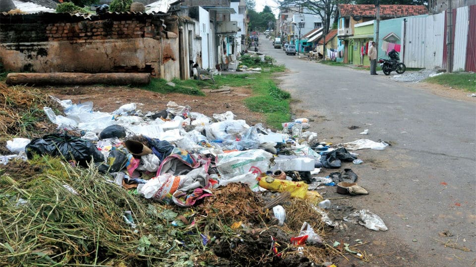 Mysuru Citizens Beware! Lest you pay hefty fines for littering public places