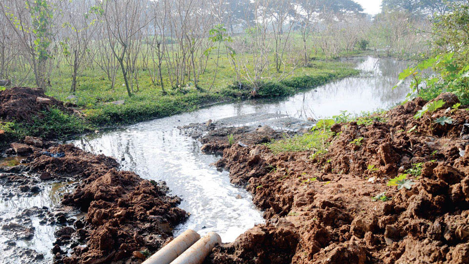 Sewage water causes froth at already polluted Kukkarahalli Lake