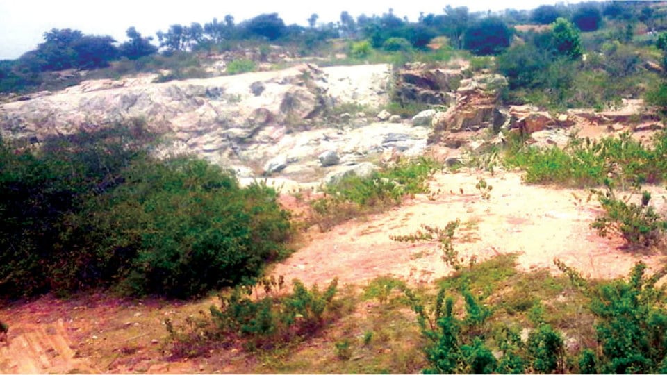 Bebi Betta illegal mining case: Forest Vigilance Squad begins probe