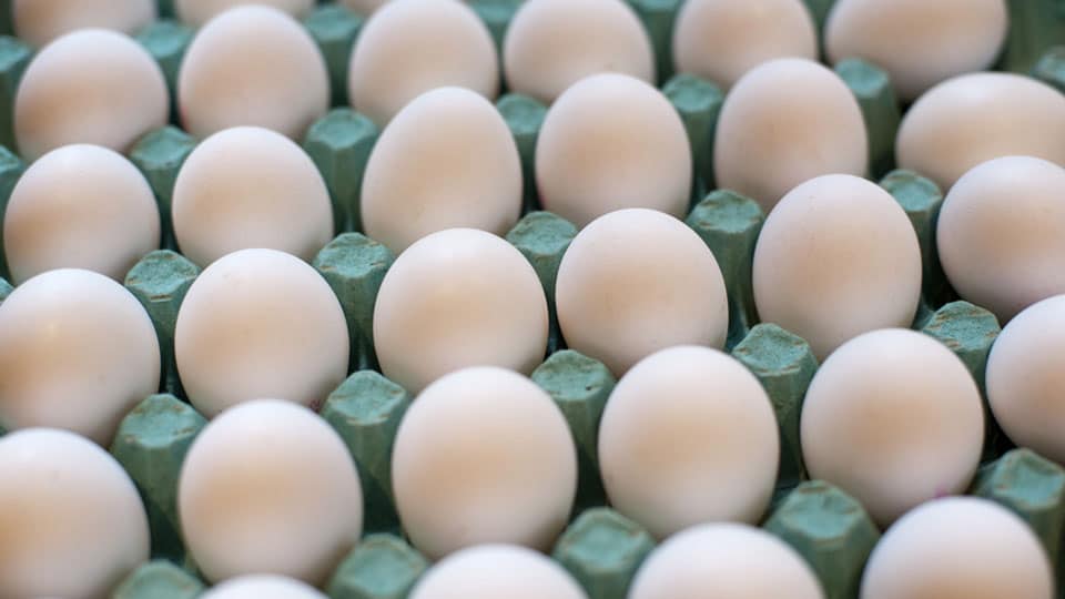 Despite 25% price crash, eggs still being sold at Rs. 7 each in city