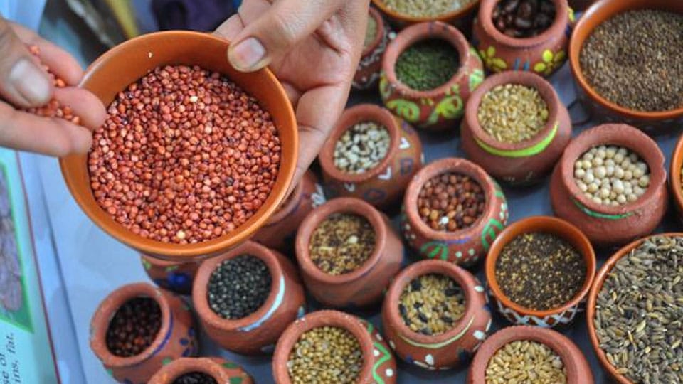 Two-day Millets Mela from Dec.27