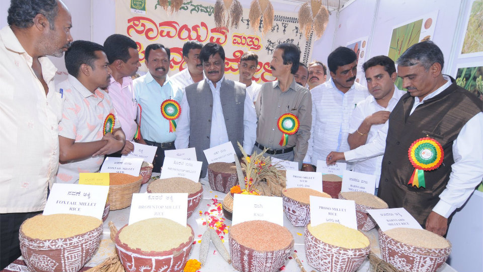 Minister opens Organic Millets Mela