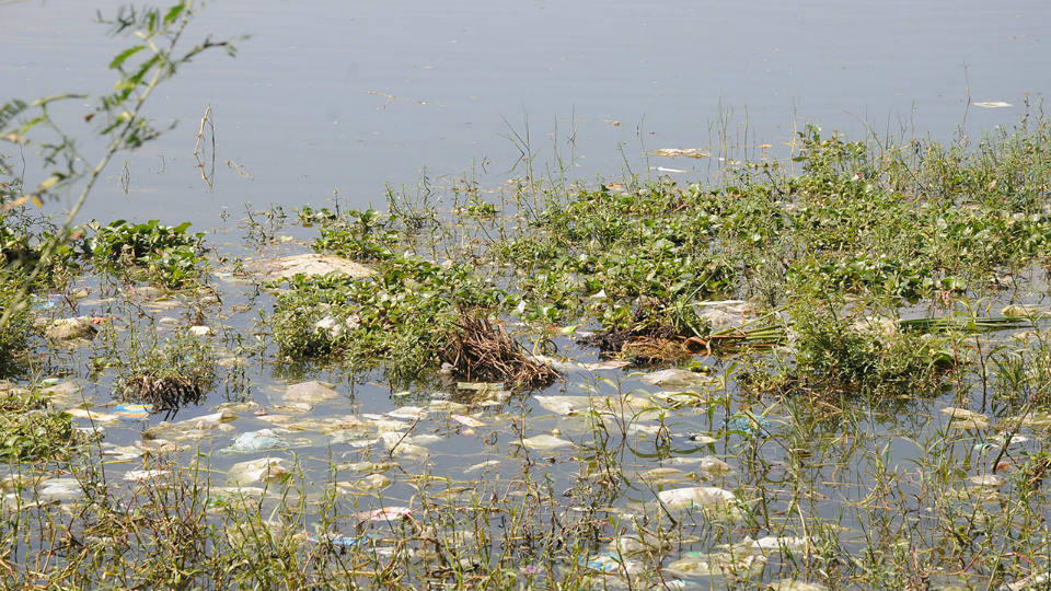 ‘Do not throw plastic covers, bottles into Kukkarahalli Lake’
