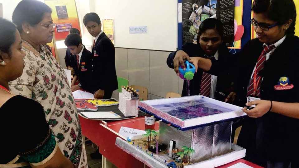 RISE-2017 Science Expo held