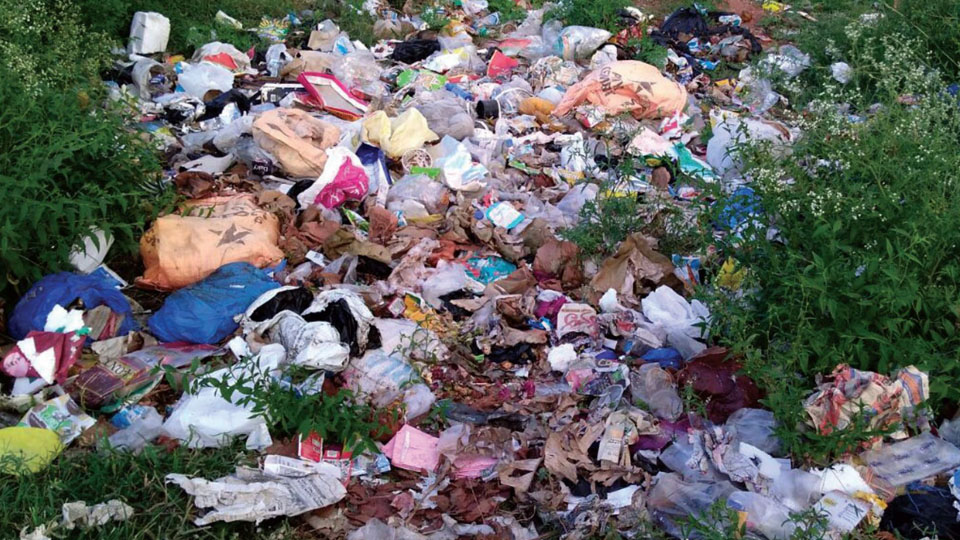 Clear this garbage dump in Vijayanagar