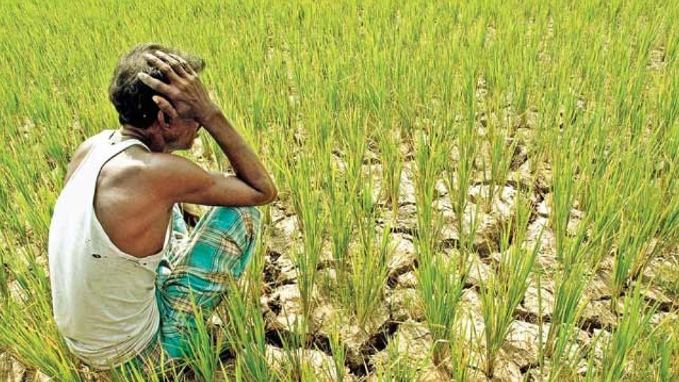 District In-charge Secretary asks for information on farmer suicide