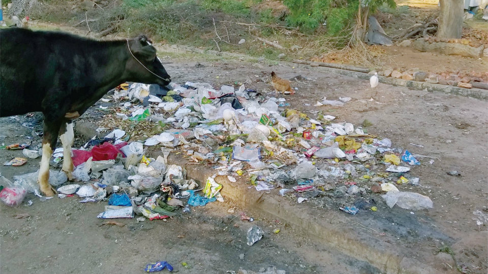 Garbage dumping continues at Vontikoppal 3rd Main
