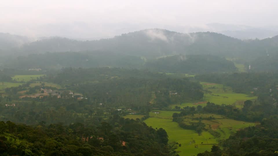 An Appeal: Support to Save Kodagu from Destruction