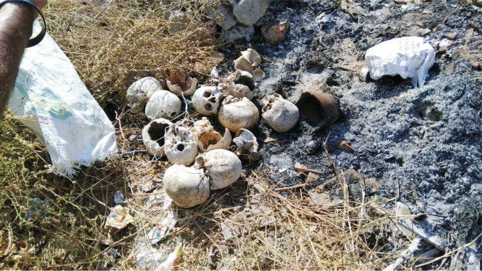 13 human skulls found at vacant site in Vijayanagar Second Stage