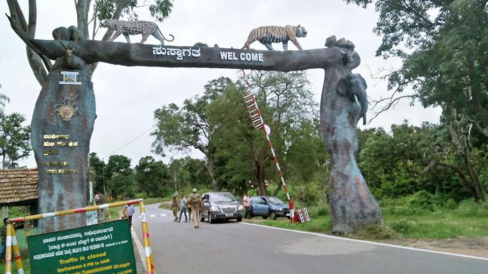 Bandipur Tiger Reserve prepares proposal for wild animal rescue centre
