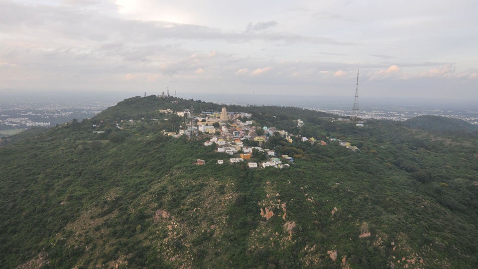 Fire atop Chamundi Hill: Five acres forest destroyed