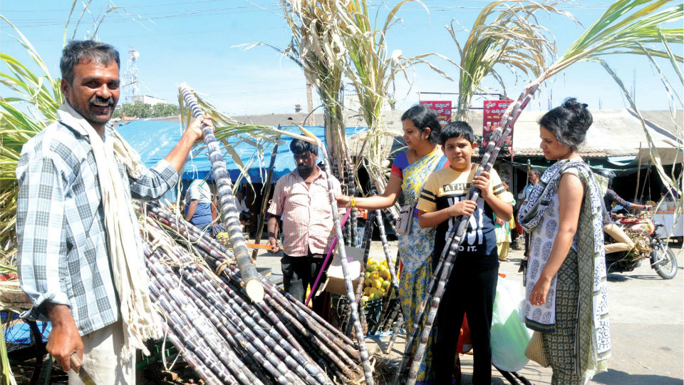 Makara Sankranti festival tomorrow: Heavy rush at city markets