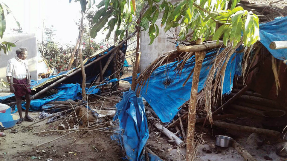 Tuskers destroy huts at Hunsur tribal hamlet