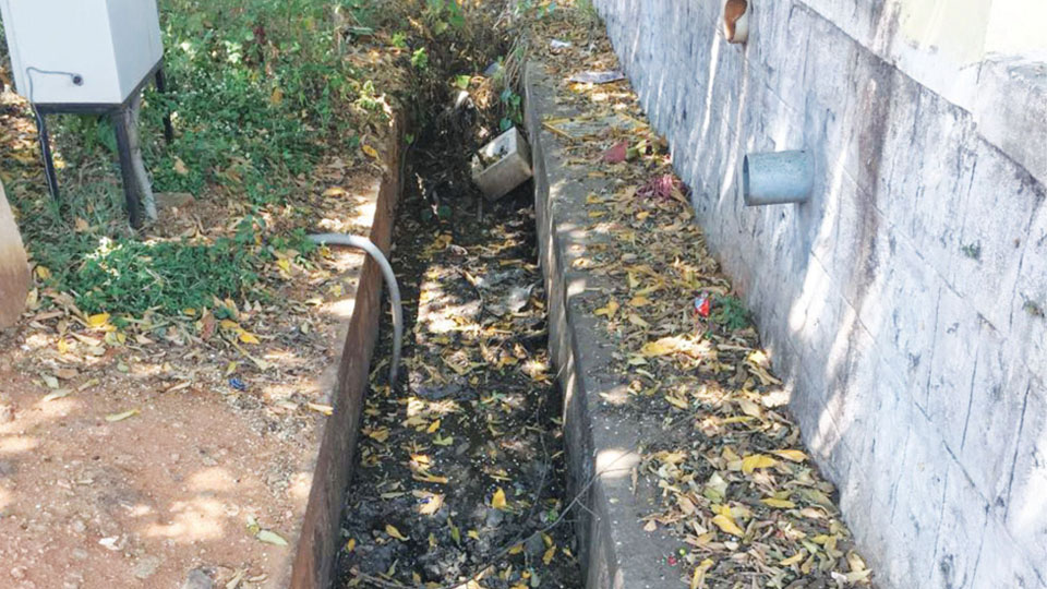 Clean this blocked drain in Vijayanagar