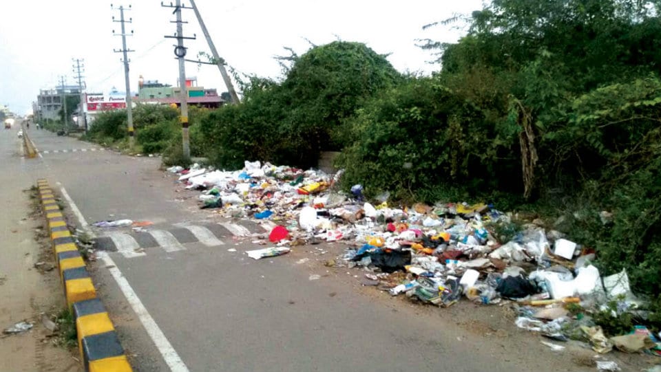 Plea to clear garbage on Service Road in Kanakadasa Nagar