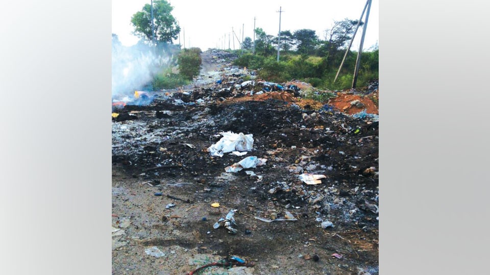 Plea to clear garbage at MUDA Layout in Devanur