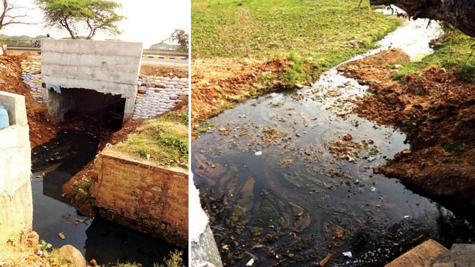 Stop flow of polluted waste water into Kukkarahalli Lake