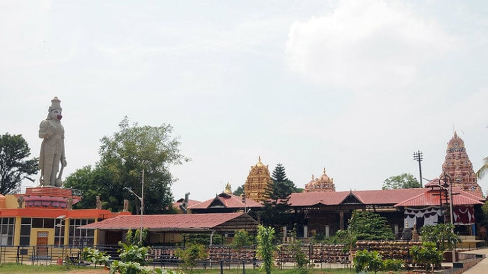 Mahashivaratri at Sri Ganapathy Sachchidananda Ashrama