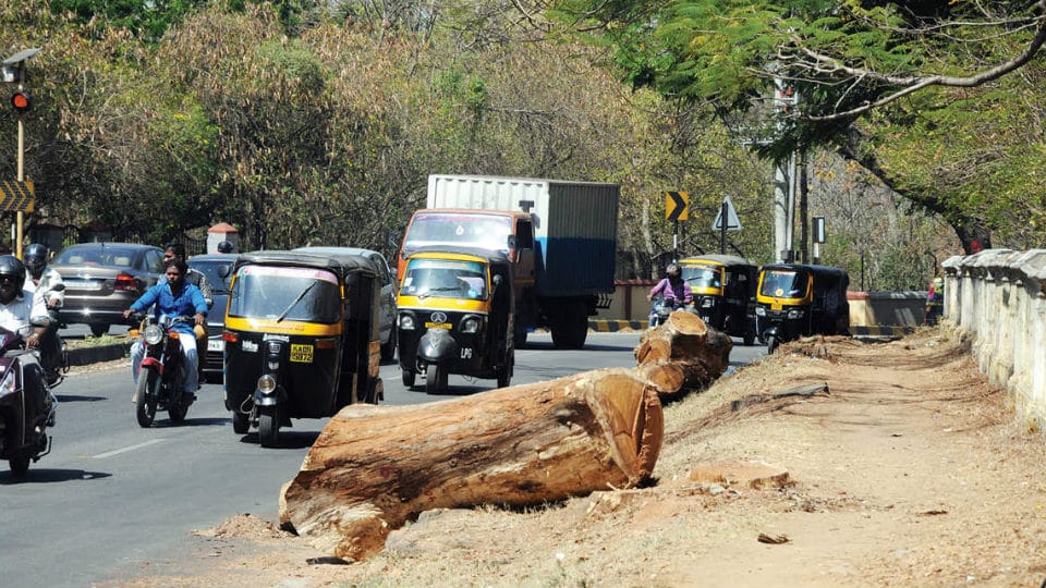 Suggestion to avoid accidents on Hunsur Road