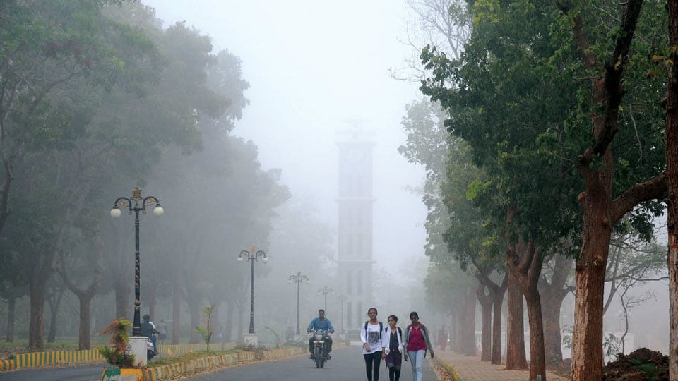 Cold spell grips Mysuru; expect further drop in temperature
