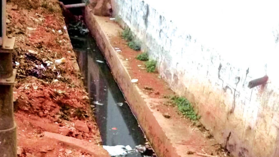 Stagnant drain water spreading diseases in Kalyangirinagar