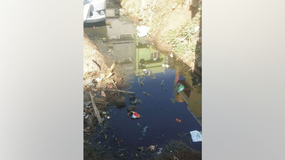 Stagnant sewage water, a matter of concern in Tilak Nagar