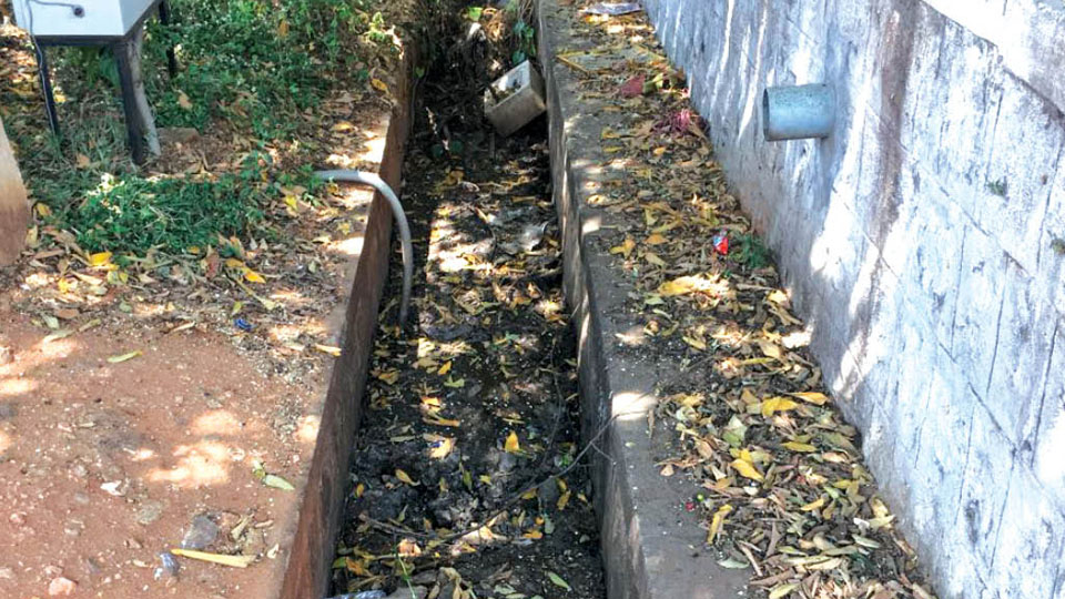 Plea to clean drains in Vijayanagar