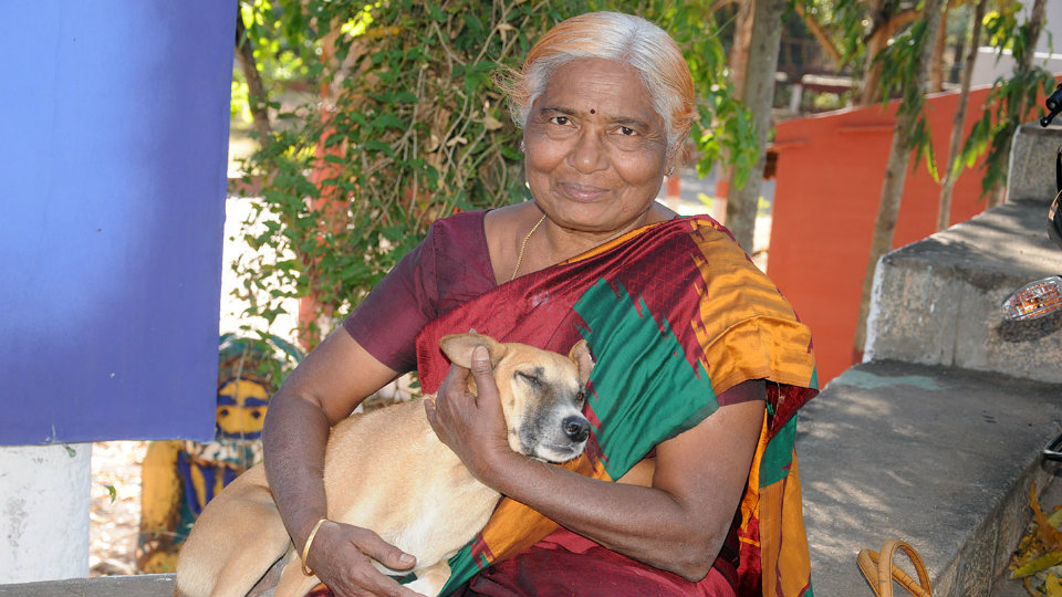 Feeding dogs gives me more peace: Dr. H. Saraswathi