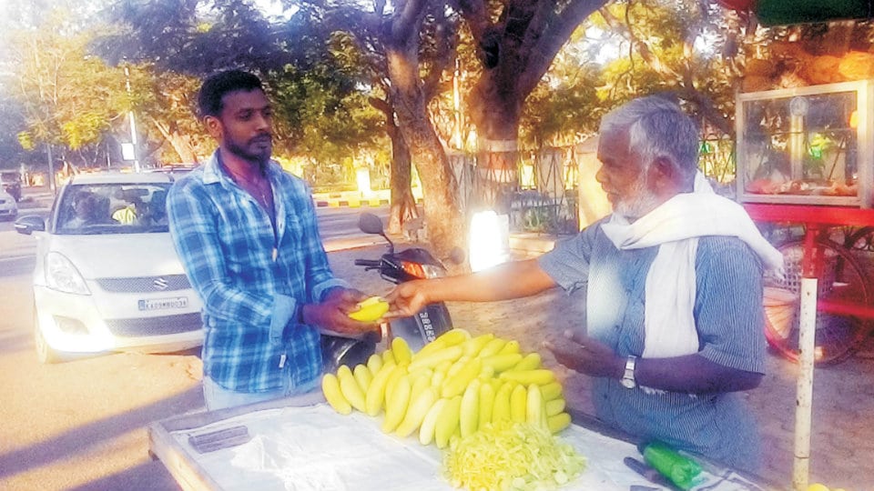 To beat summer heat: Holenarasipur cucumbers in great demand