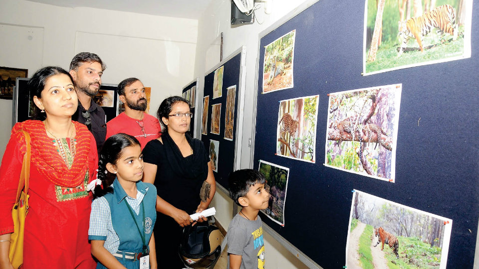World Wildlife Day celebrations: Forest Department hosts Photo Expo and documentary screening
