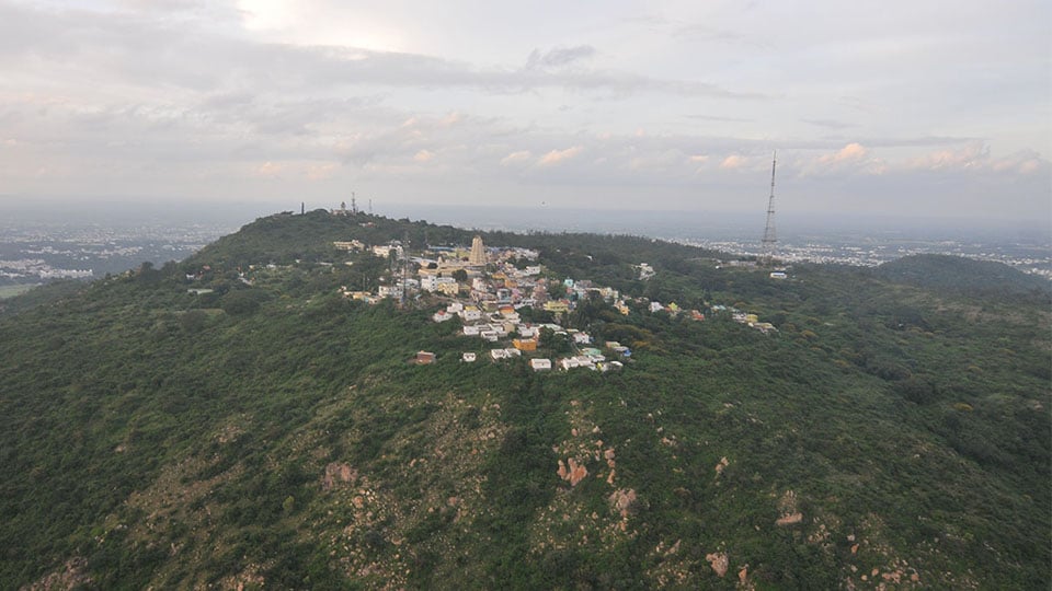 Save Chamundi Hill online petition launched