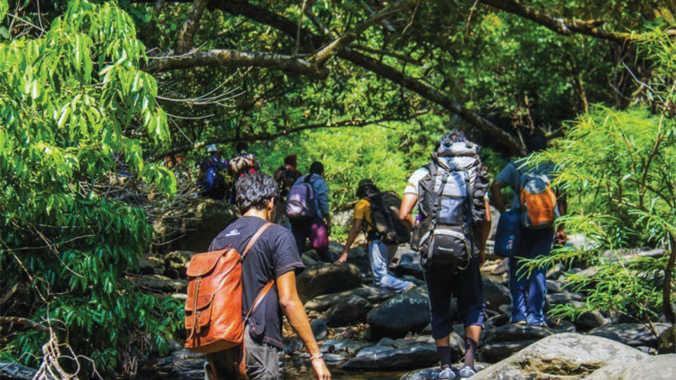 Echo of trekking tragedy at Tamil Nadu : Karnataka Forest Department bans trekking till summer ends