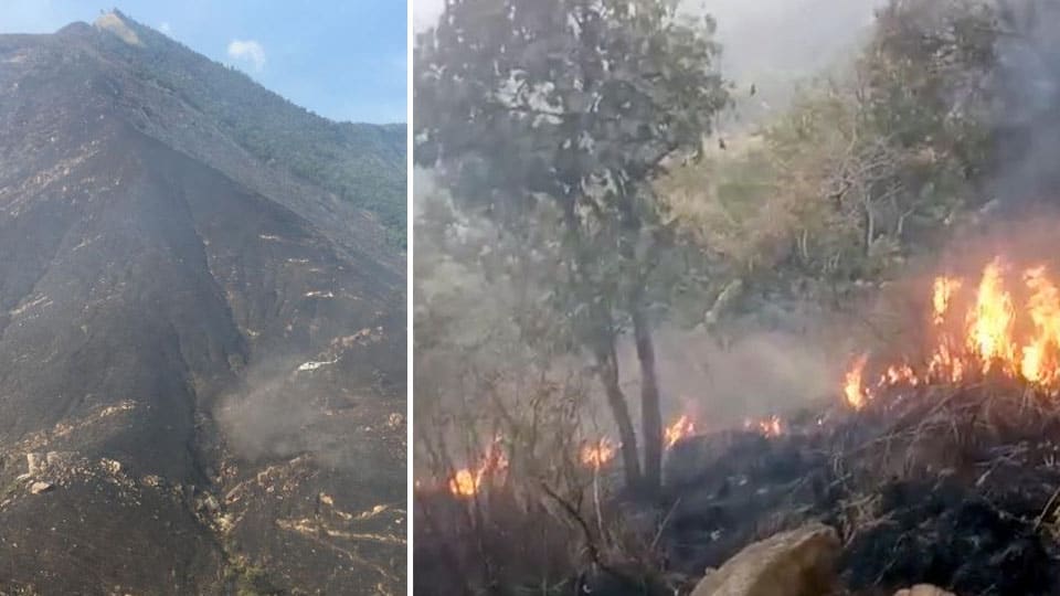 Theni Forest Fire: Nine trekkers killed in TN, some still trapped