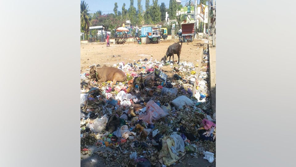 Garbage dumping, a bane in Azeez Sait Nagar