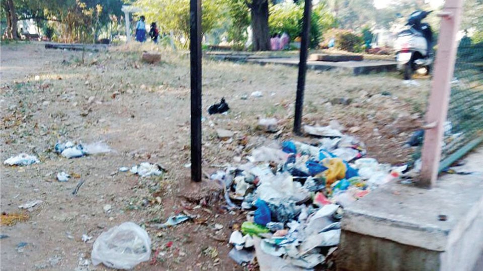 N.R. Mohalla Park crying for attention