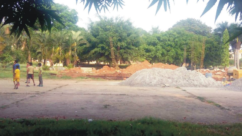 Eyesore at Freedom Fighters Park