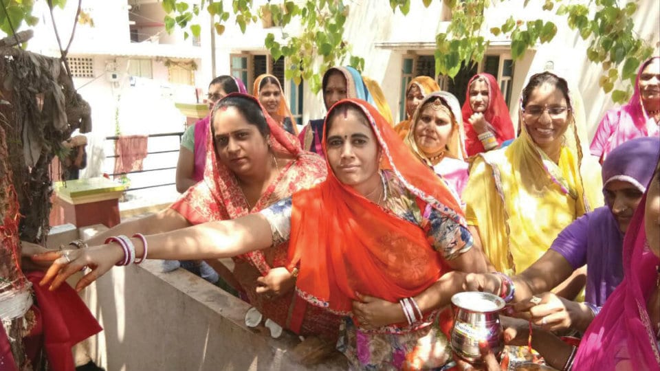 Gangaur Puja by Rajasthani womenfolk